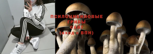 экстази Алзамай