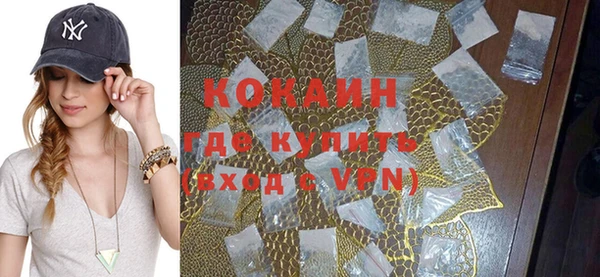 крисы Абаза