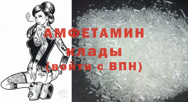крисы Абаза