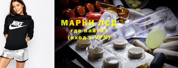 крисы Абаза