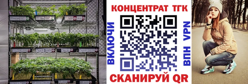 Дистиллят ТГК Wax Губкин