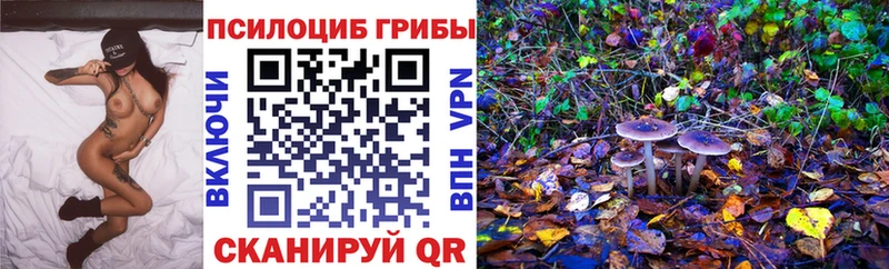 Псилоцибиновые грибы Psilocybe  Губкин 